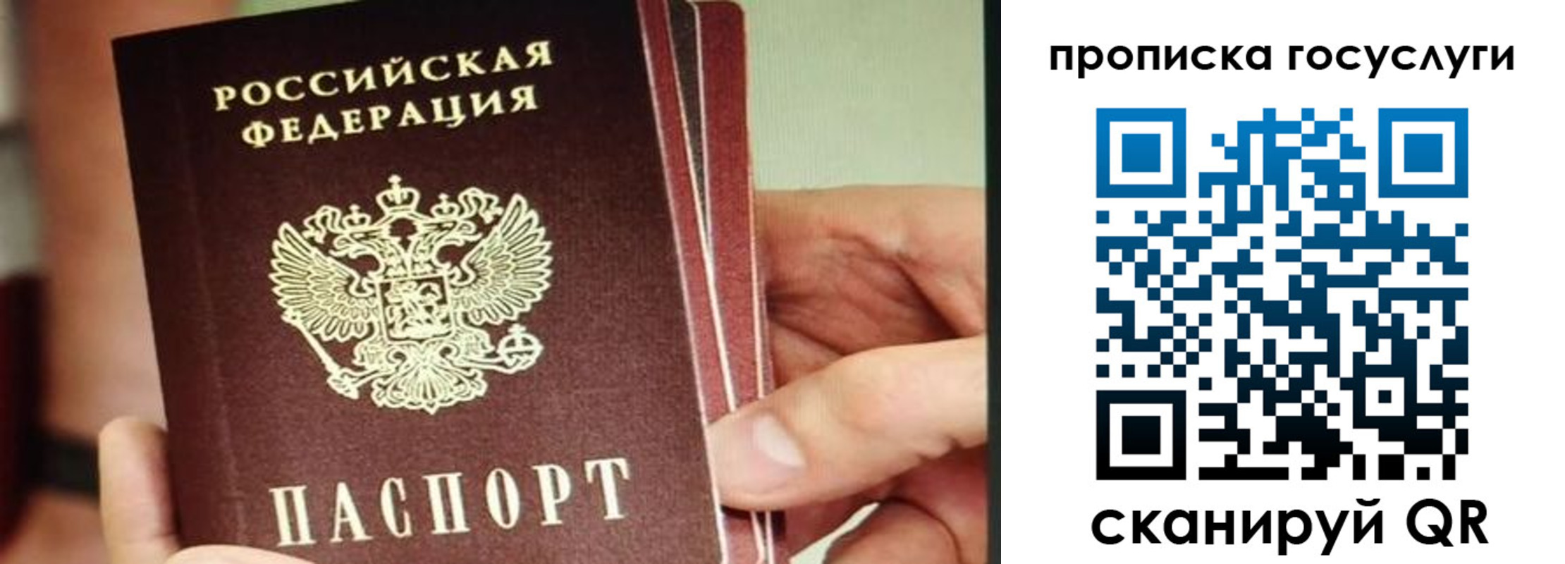 пропишу в квартире в Осташкове